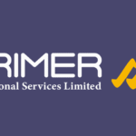 Primer Professional Services Ltd. Is Rethinking How Businesses Build HR Systems and Professionals Build Their Careers